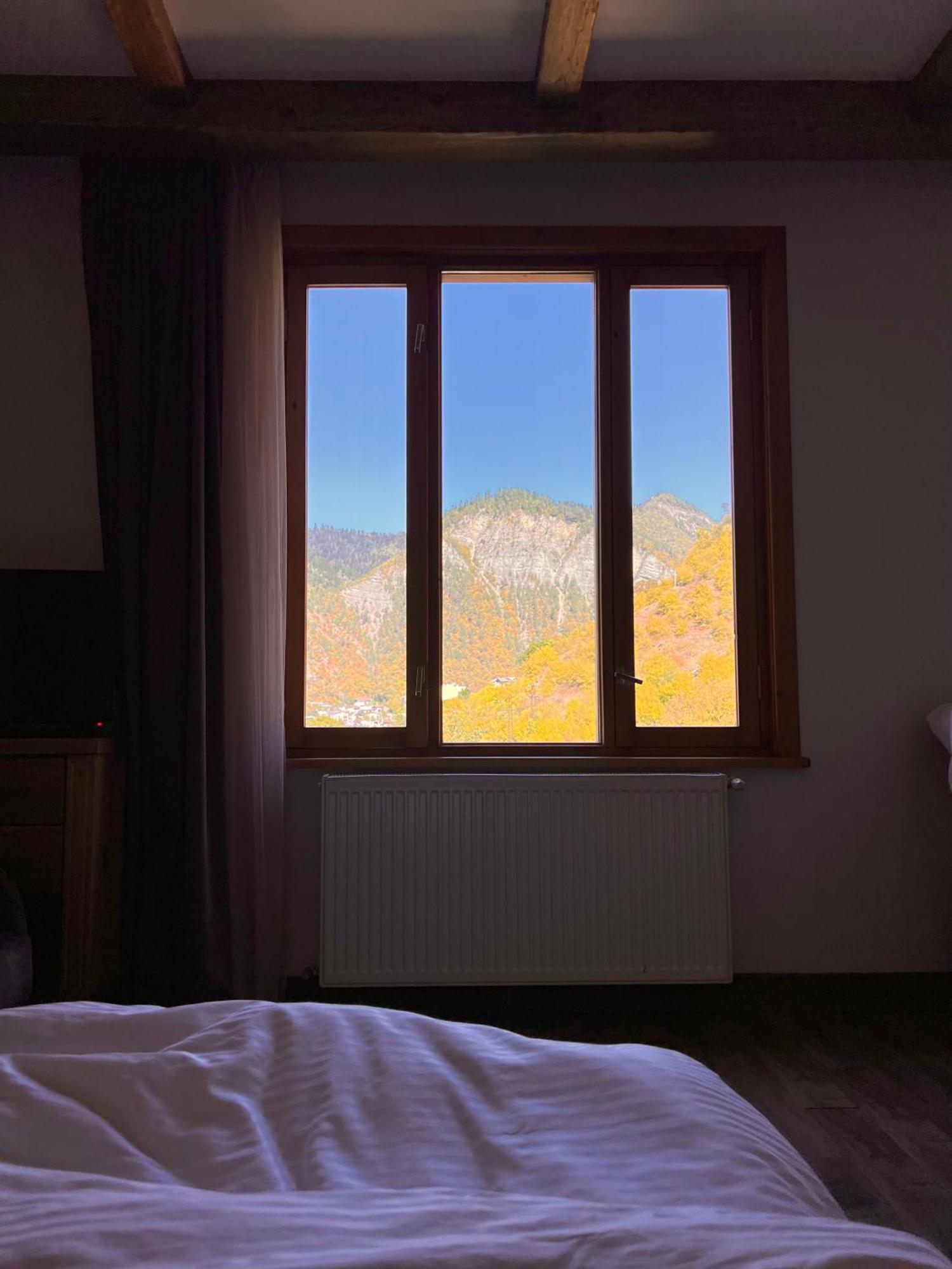 Hotel Borjomi Verde מראה חיצוני תמונה