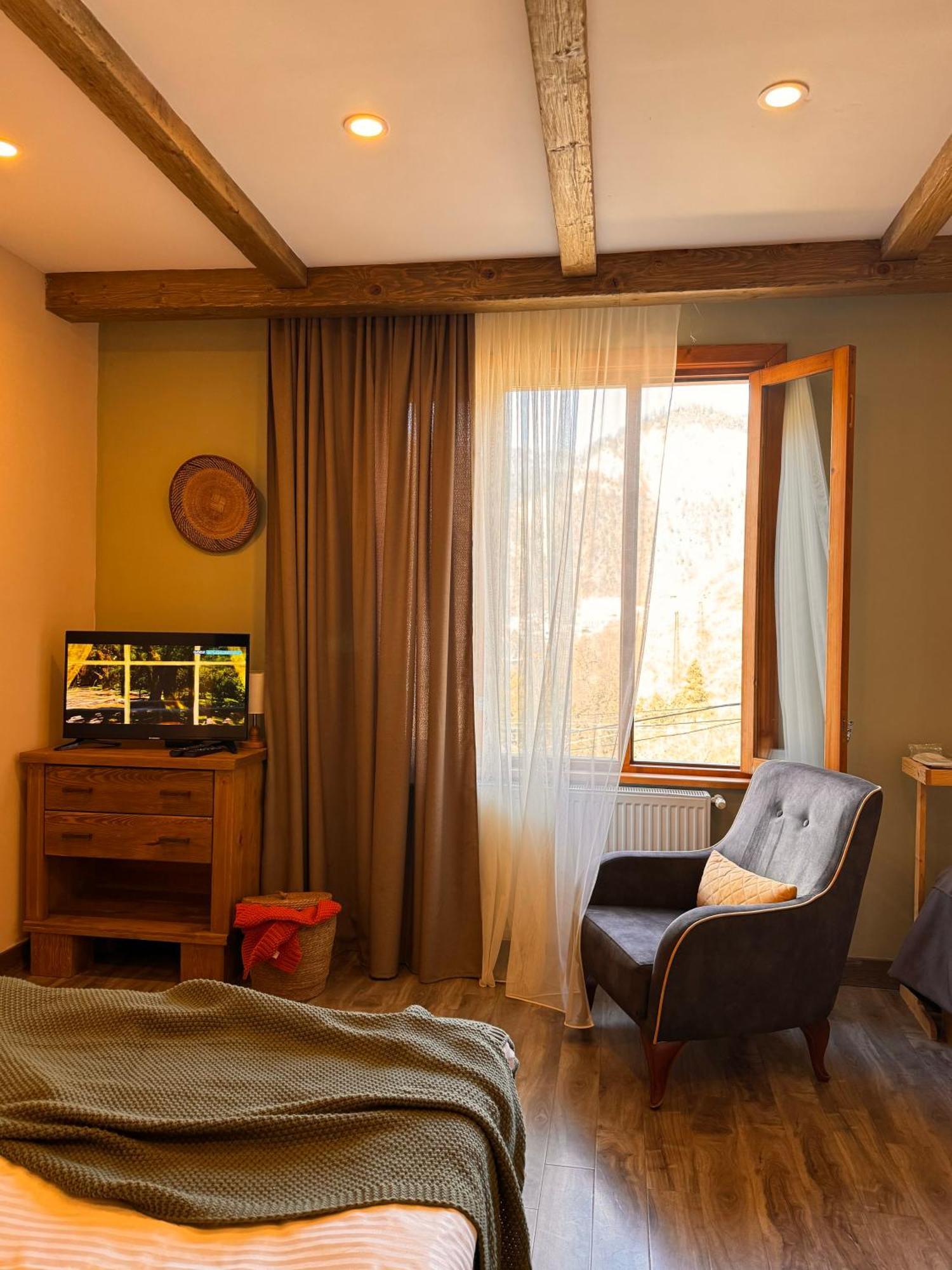 Hotel Borjomi Verde מראה חיצוני תמונה
